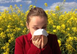 Tipy na alergii