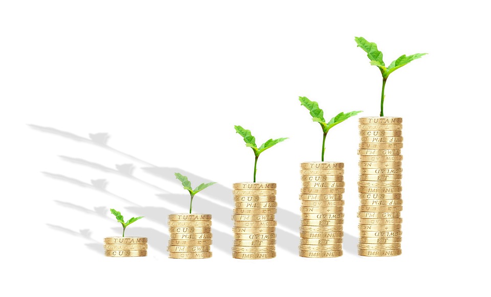 Do čeho se vyplatí investovat?