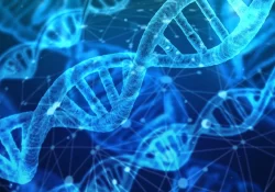 Model DNA jako symbol lidského těla a genetiky