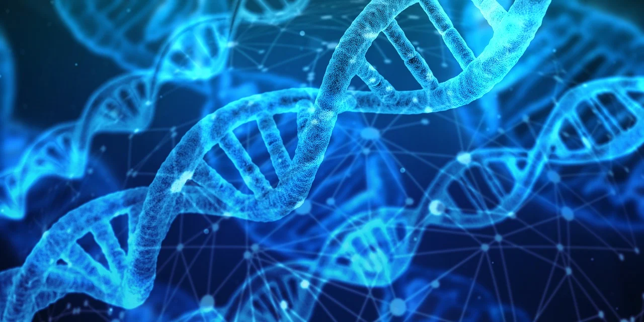 Model DNA jako symbol lidského těla a genetiky