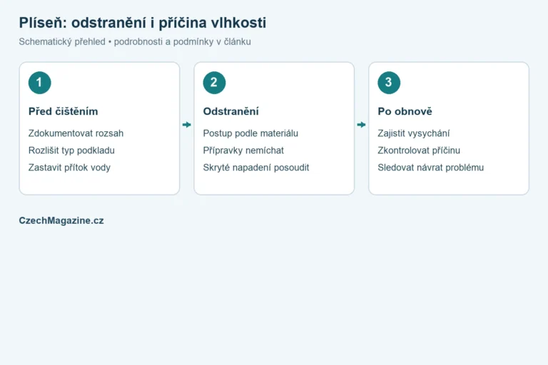 Plíseň: rozlišení podkladu, odstranění napadení a řešení vlhkosti – redakční schéma
