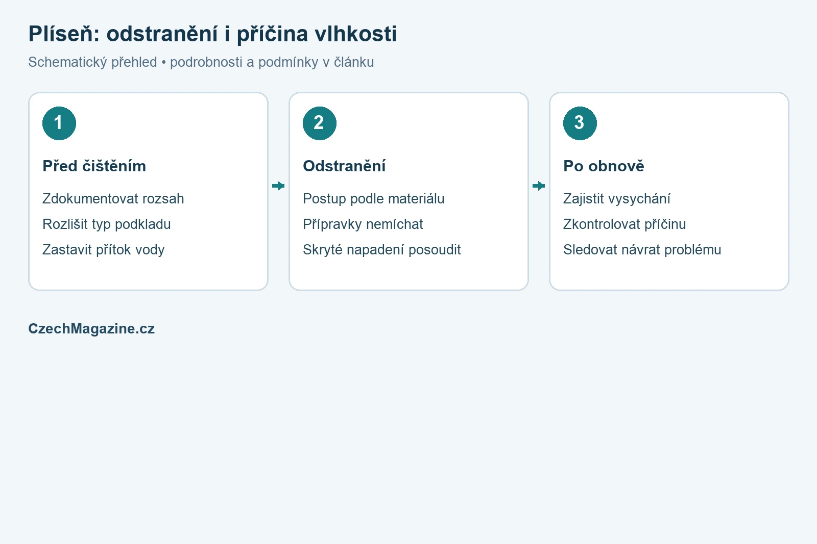 Plíseň: rozlišení podkladu, odstranění napadení a řešení vlhkosti – redakční schéma