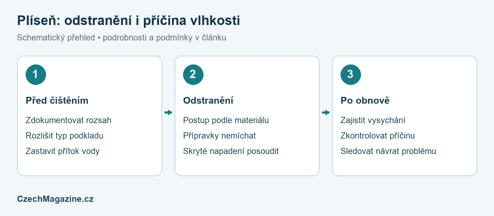 Jak se zbavit černé plísně: čištění, materiály a příčina vlhkosti – schematický přehled